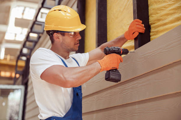 Best Custom Trim and Detailing for Siding  in Centerville, IA